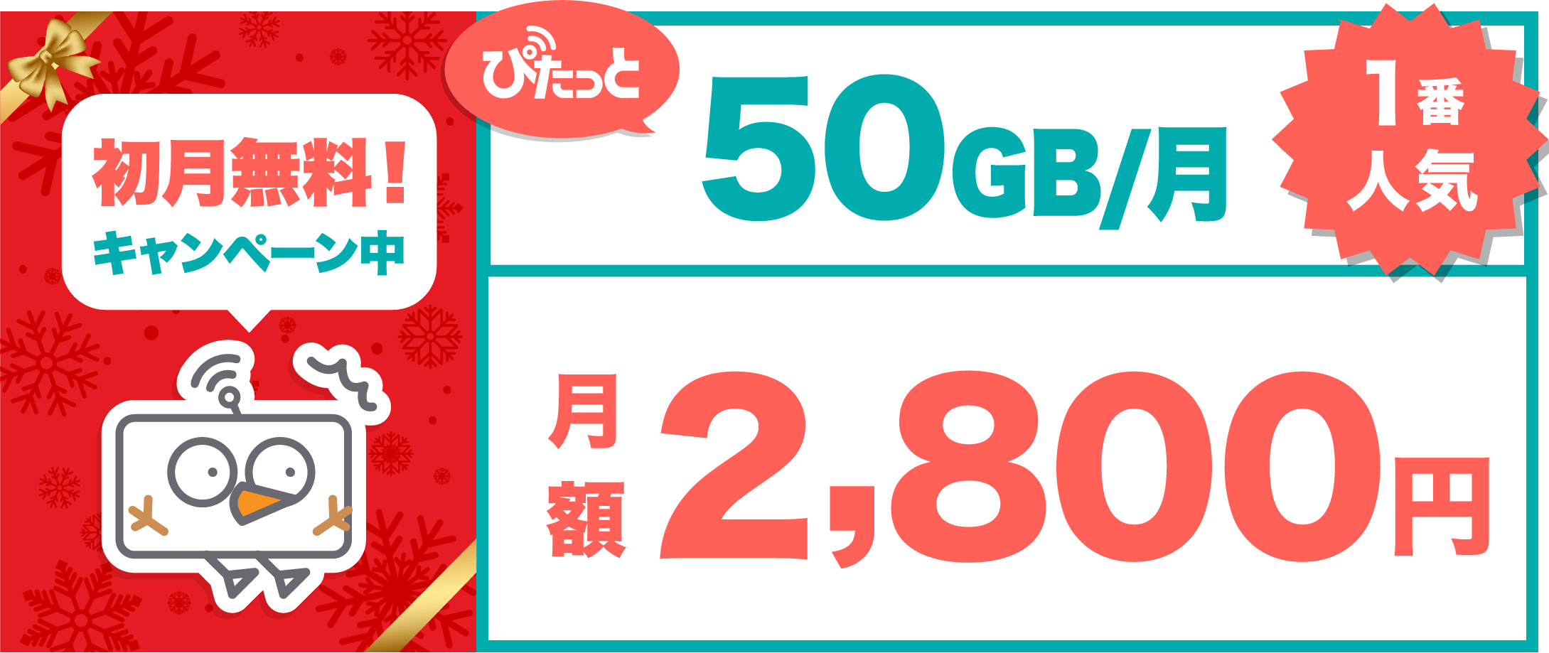 料金プラン 50GBのみ PC