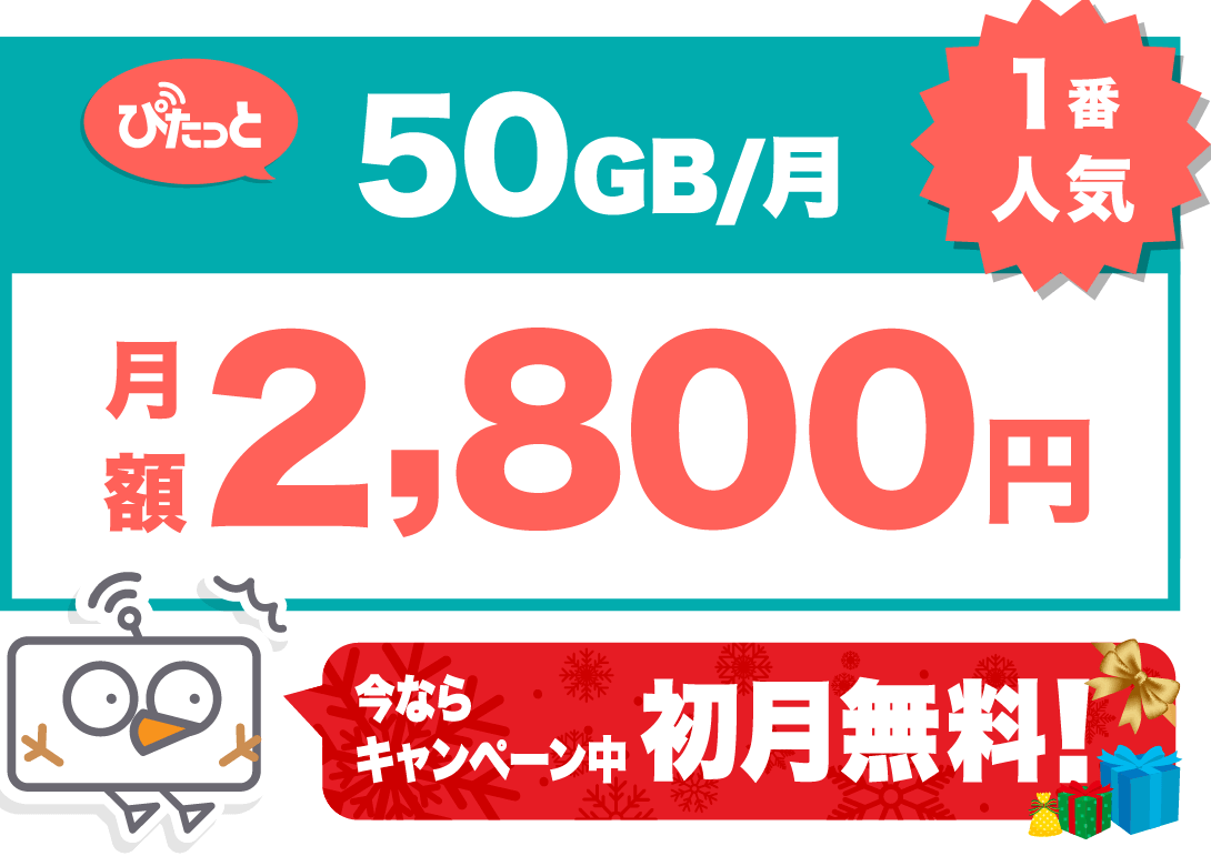 料金プラン 50GBのみ SP