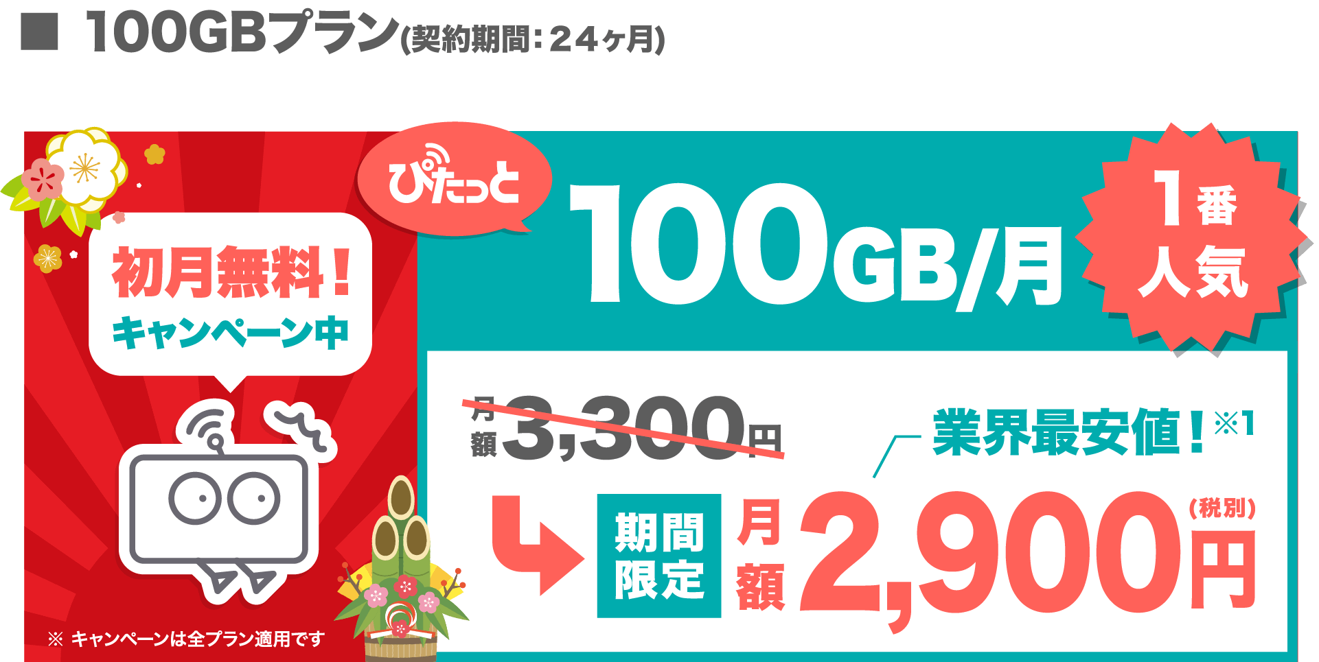 料金プラン 100GBのみ PC