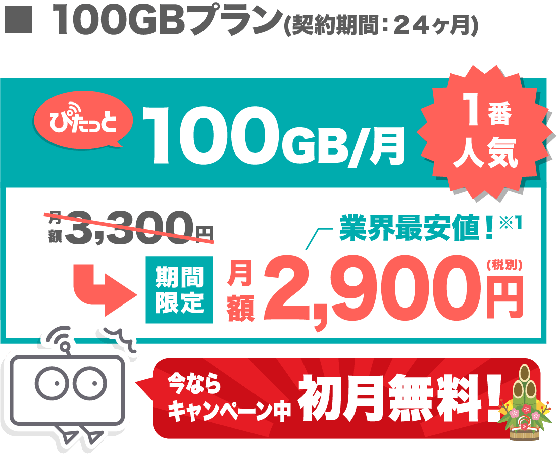 料金プラン 100GBのみ SP