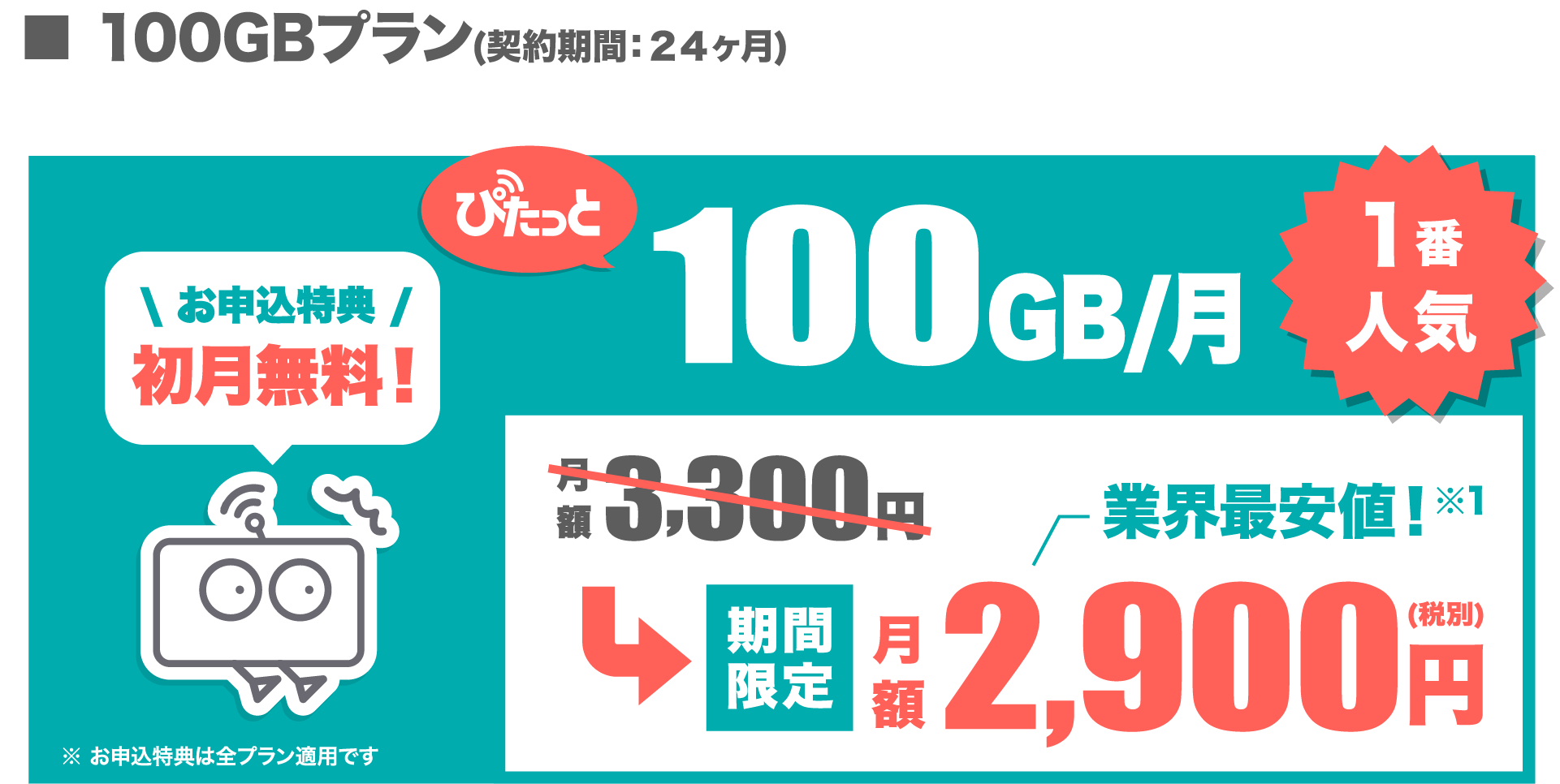 料金プラン 100GBのみ PC