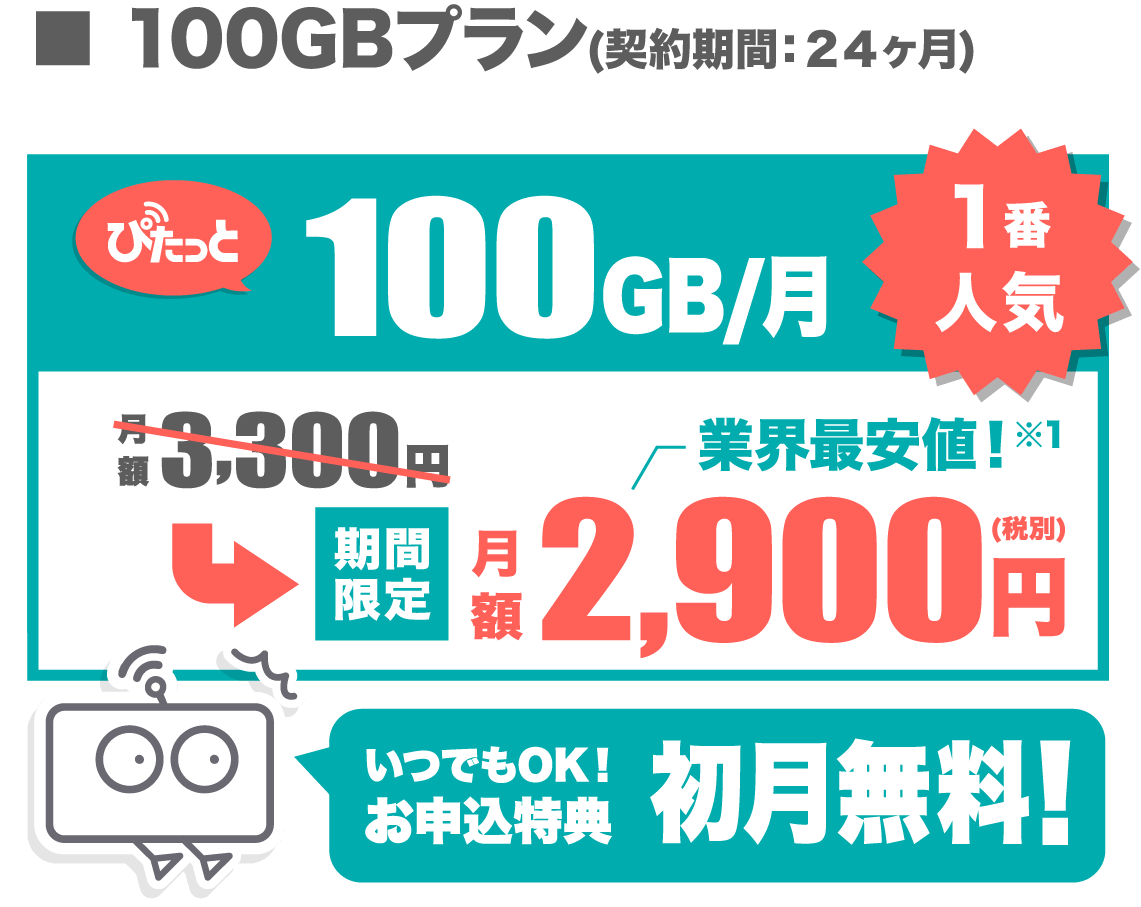 料金プラン 100GBのみ SP