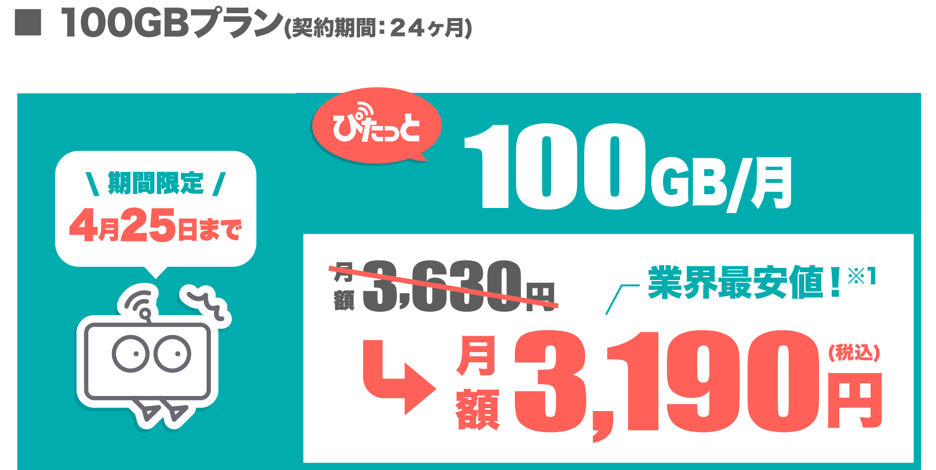 料金プラン 100GBのみ PC