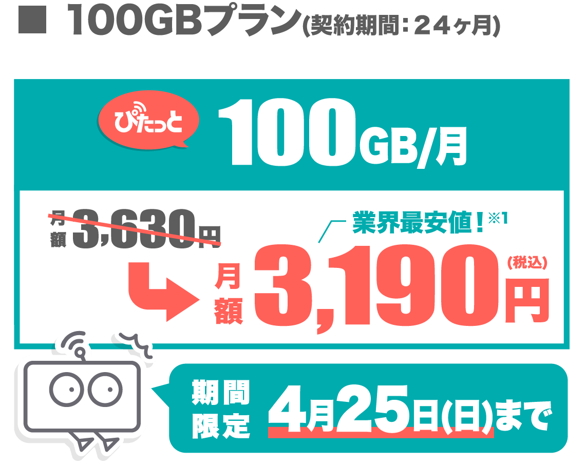 料金プラン 100GBのみ SP