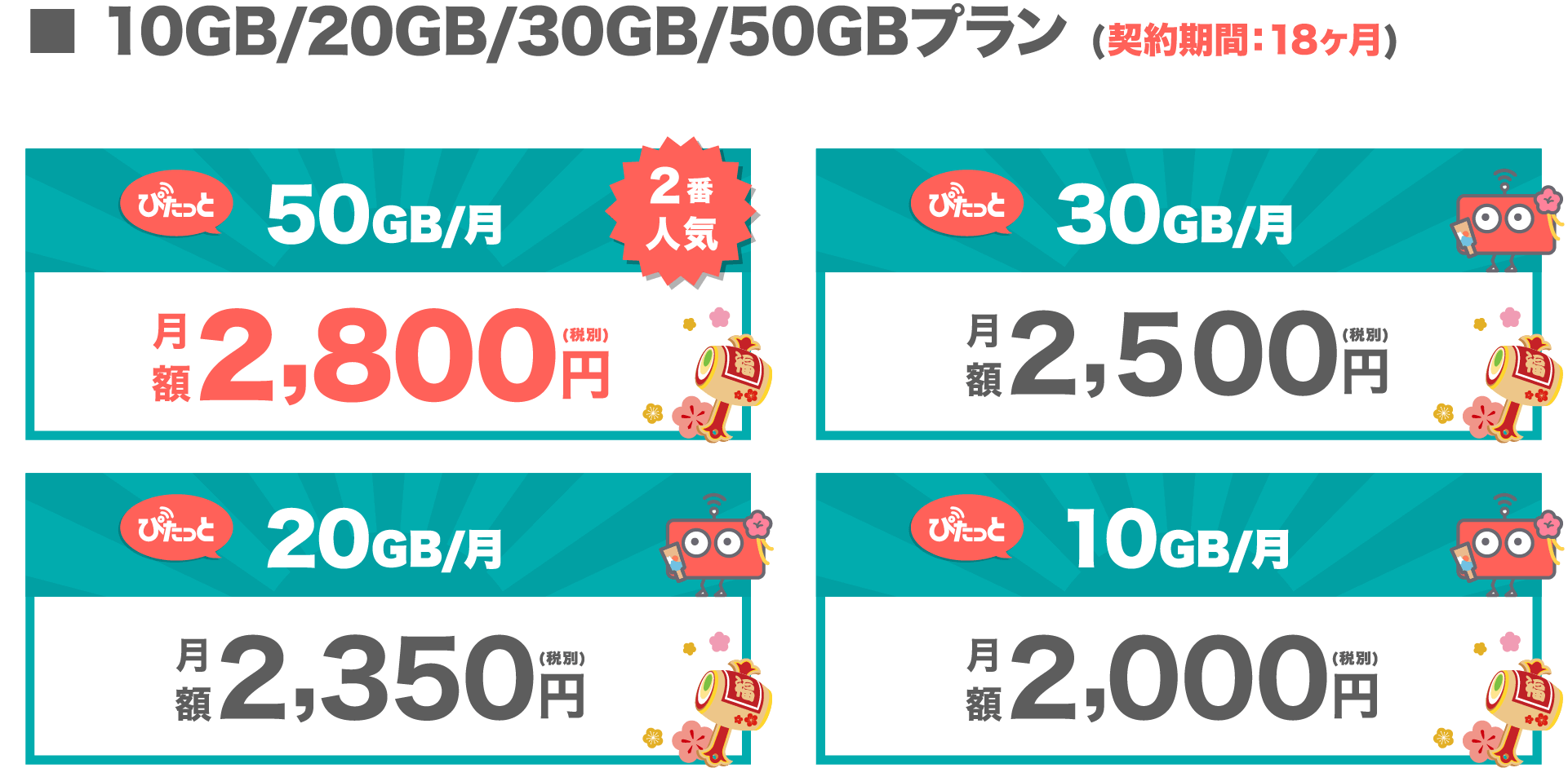 料金プラン 50GBのみ PC