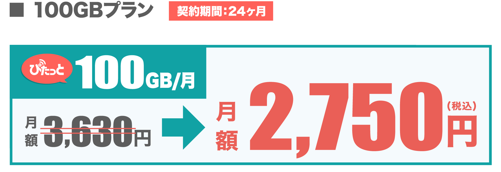 料金プラン 100GBのみ PC